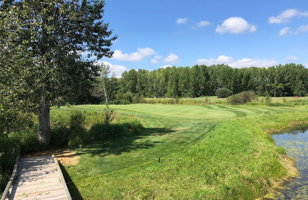 View of cart path on golf course