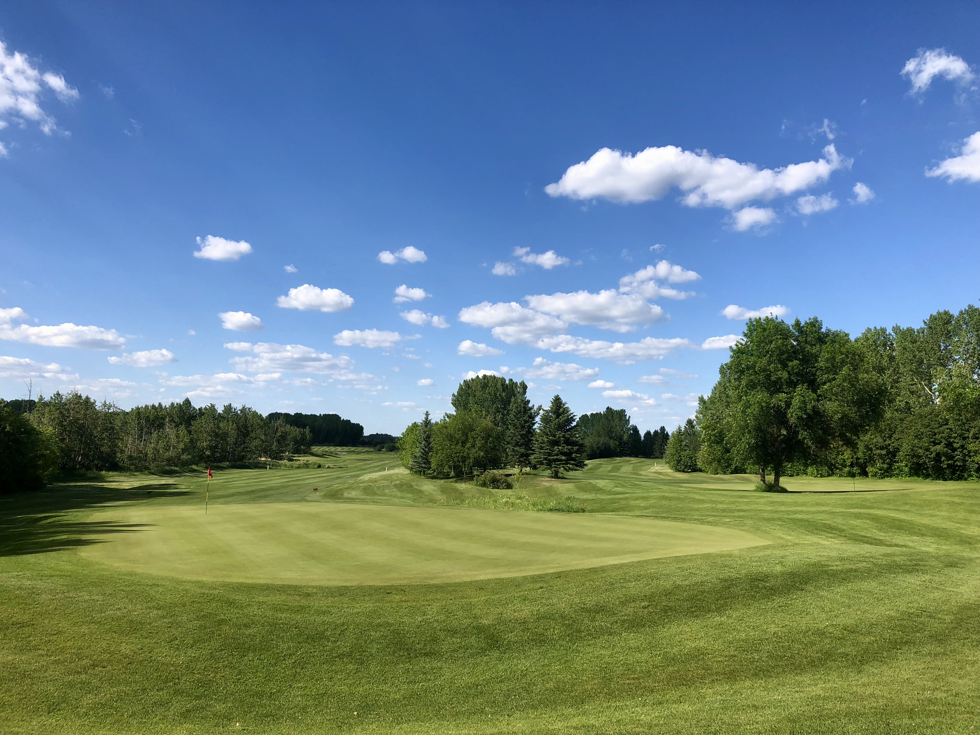 Golf course green with trees in distance
